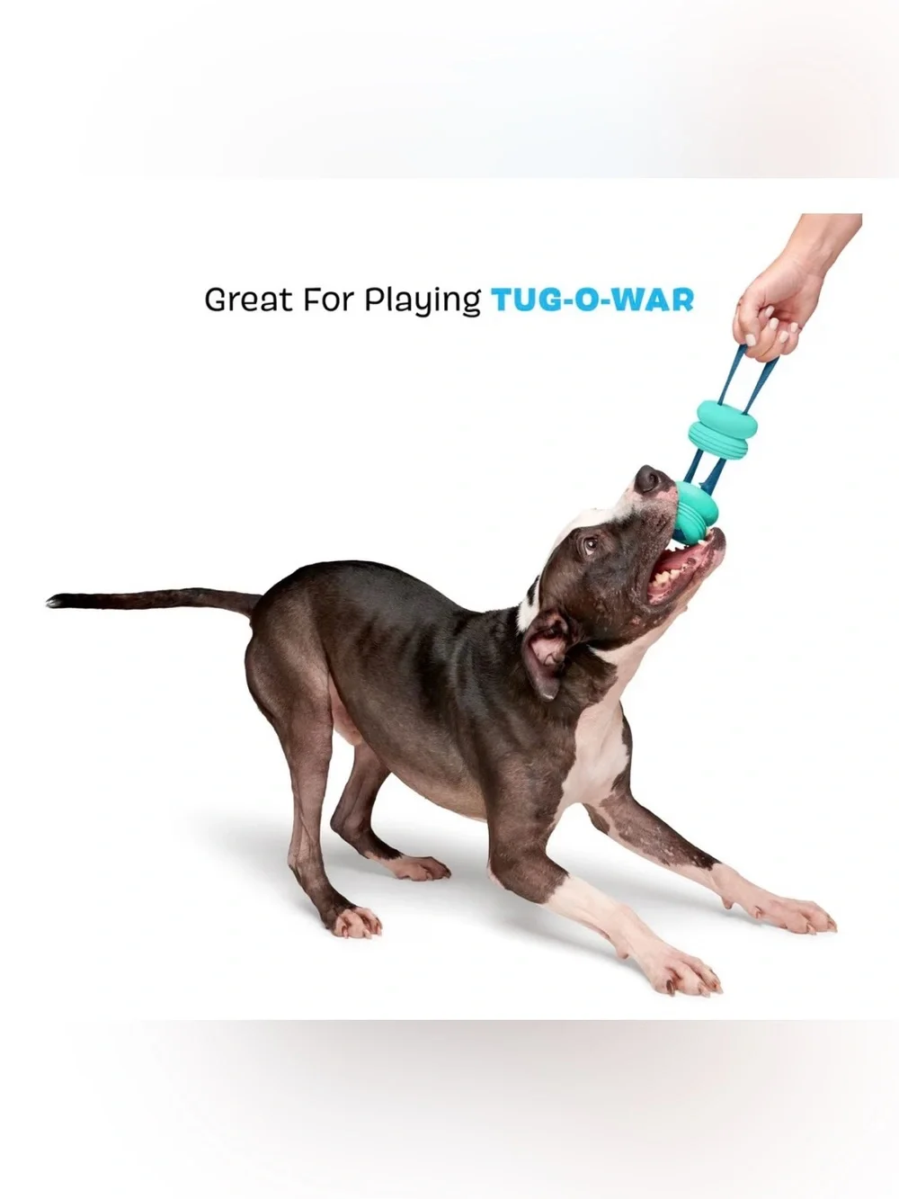 Bark Box Super Chewer teal Buoy M-L Dog toy NEW FLOATS & GLOWS
